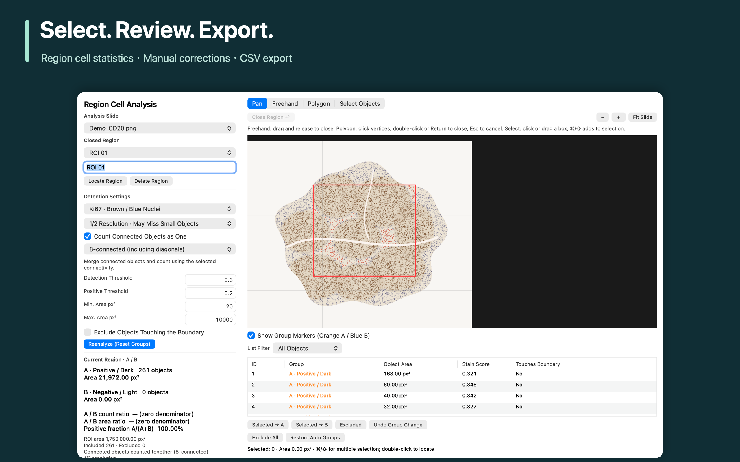 Select. Review. Export.