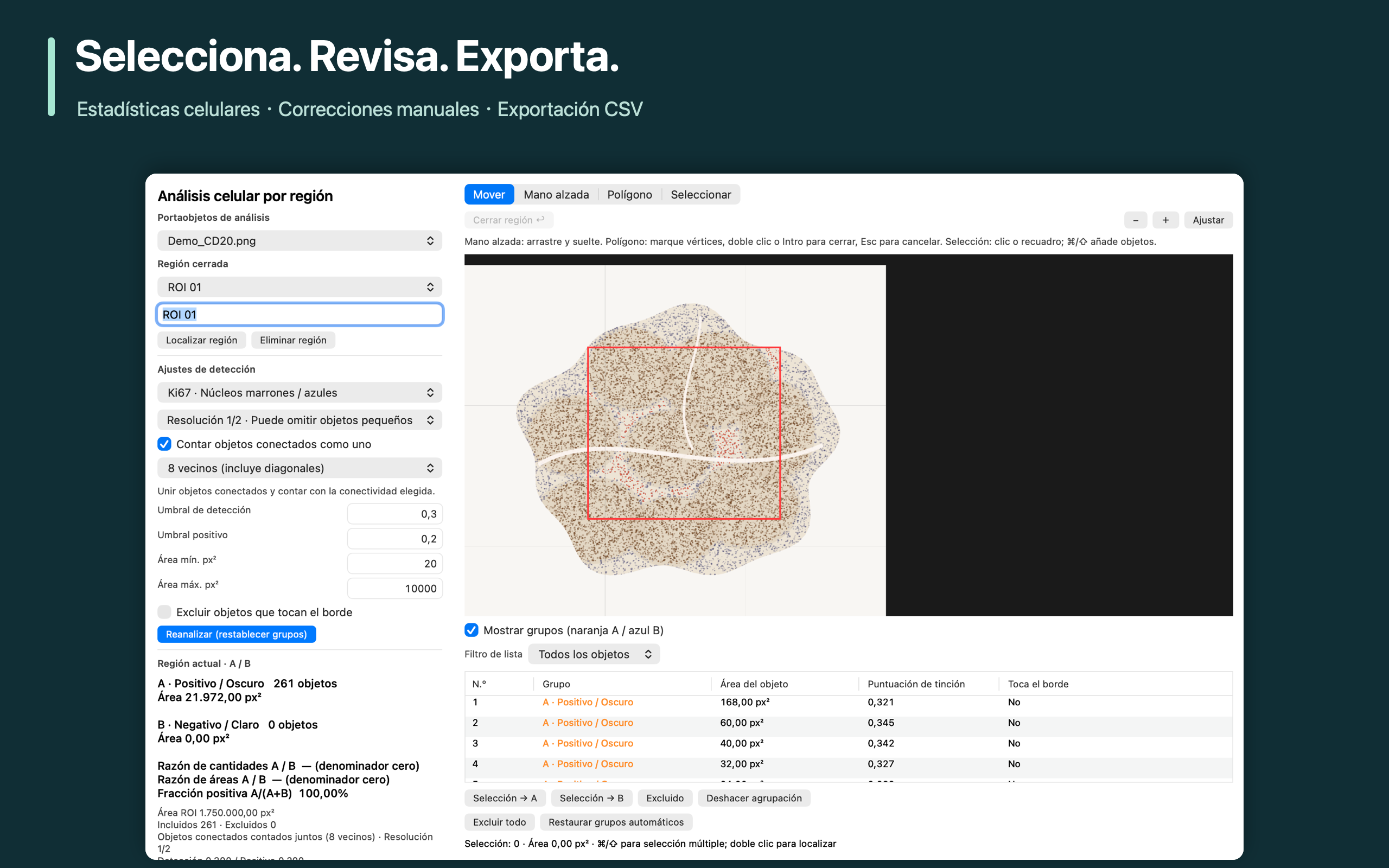 Selecciona. Revisa. Exporta.