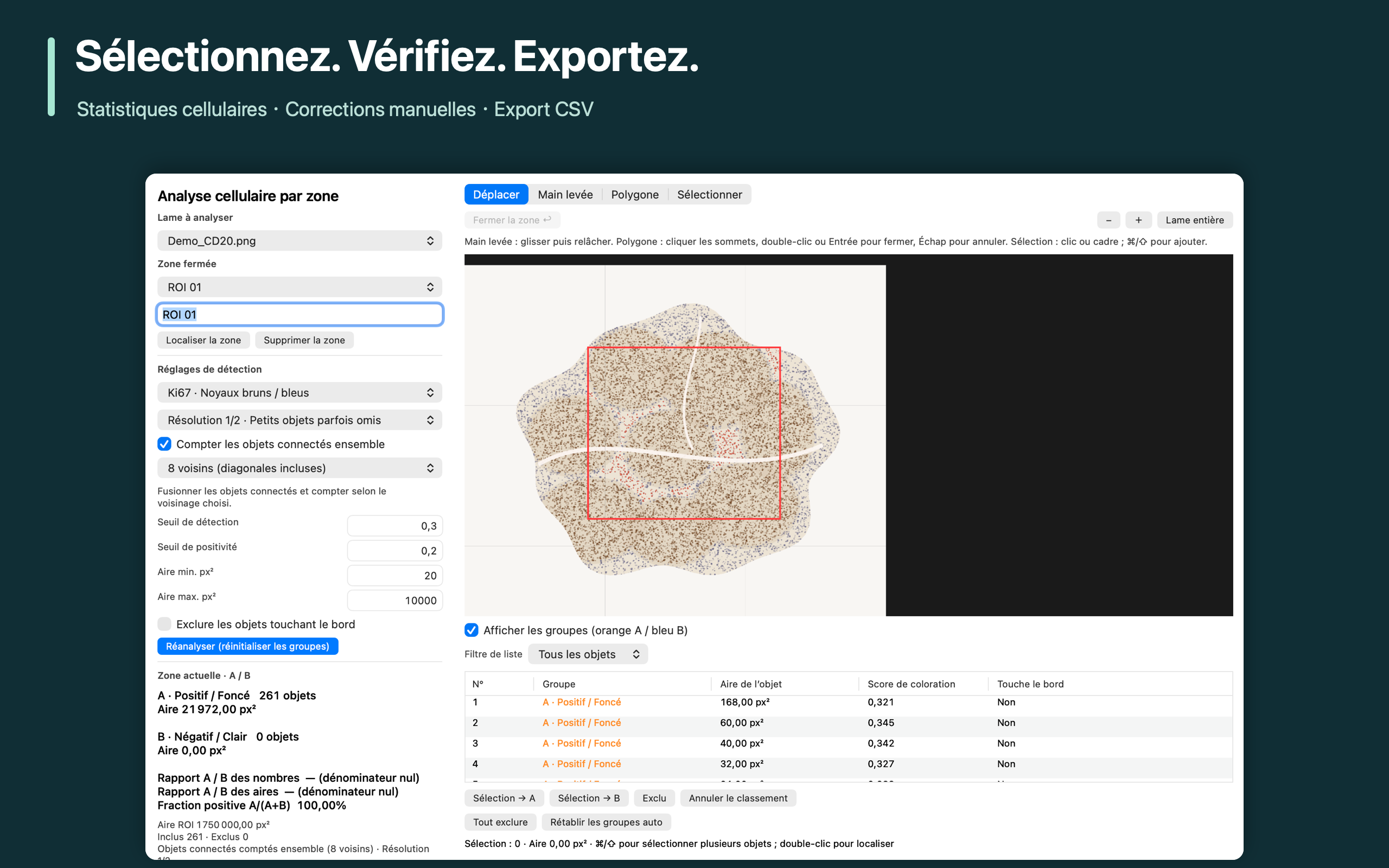 Sélectionnez. Vérifiez. Exportez.