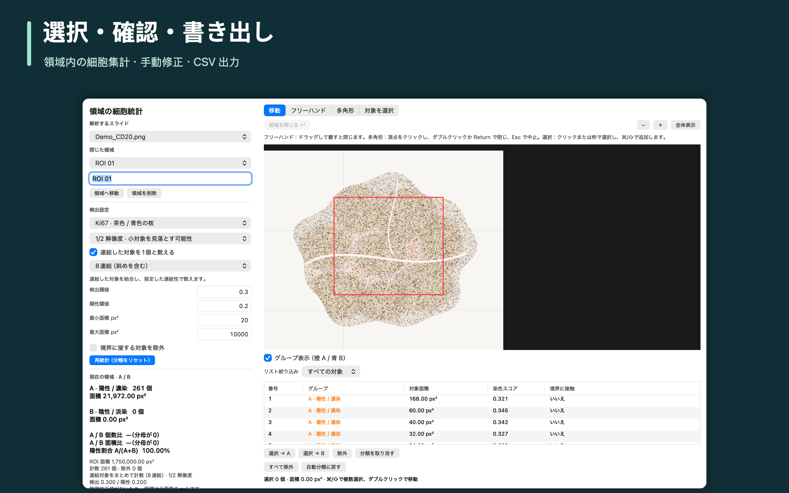 選択・確認・書き出し