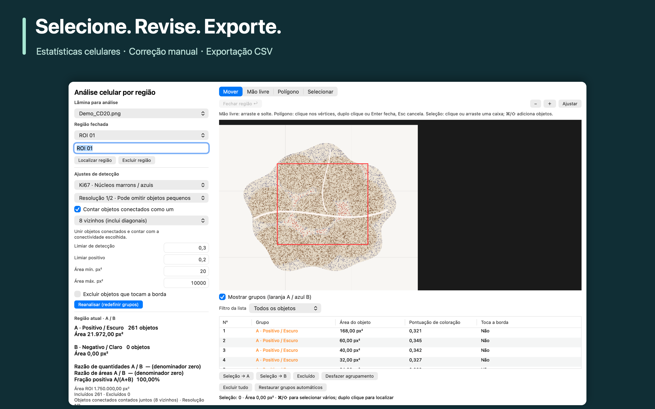 Selecione. Revise. Exporte.