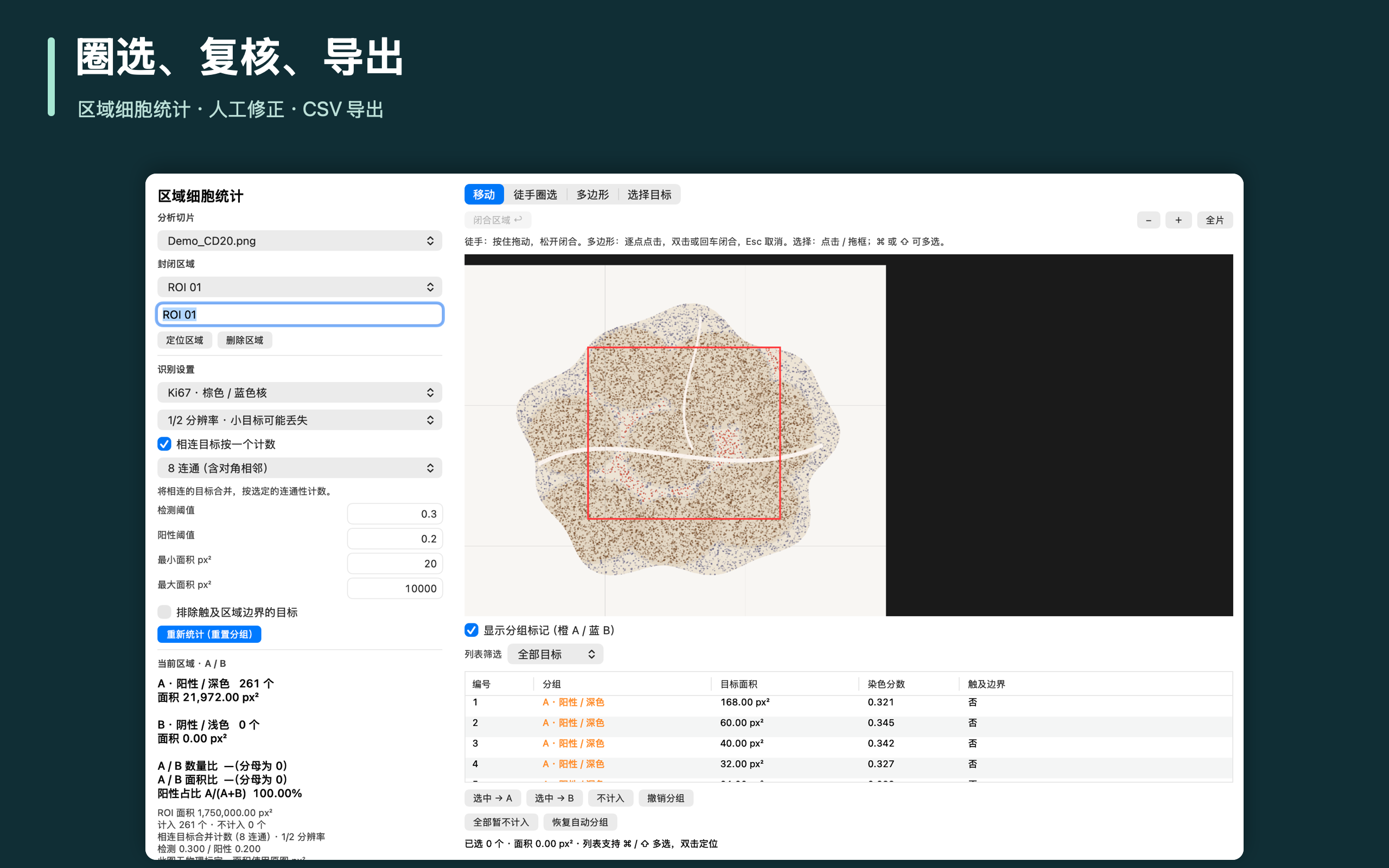 圈选、复核、导出